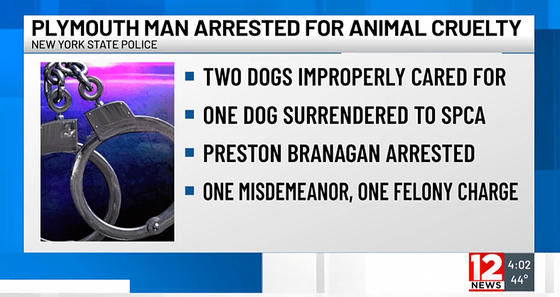 Left to Suffer in Chains: One Dog Decomposed, Another Barely Survived — Now the Public Demands Justice